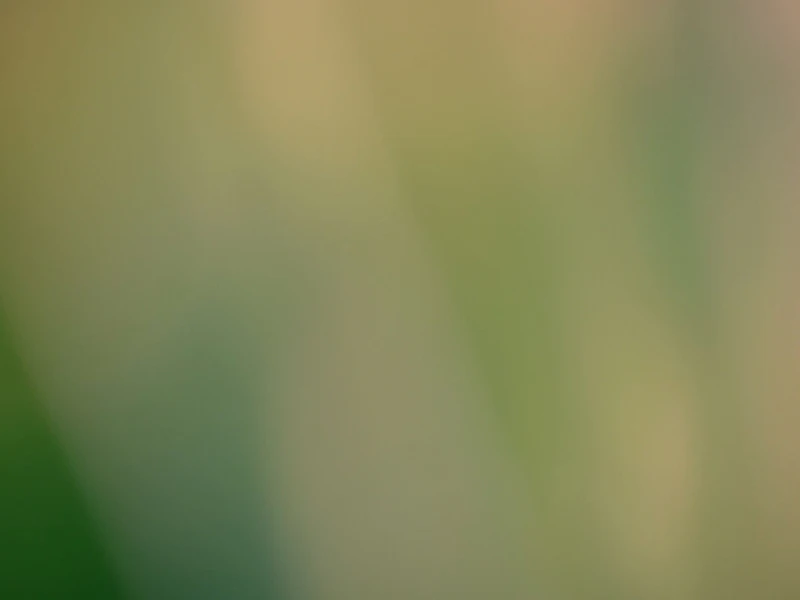 Solution Image
