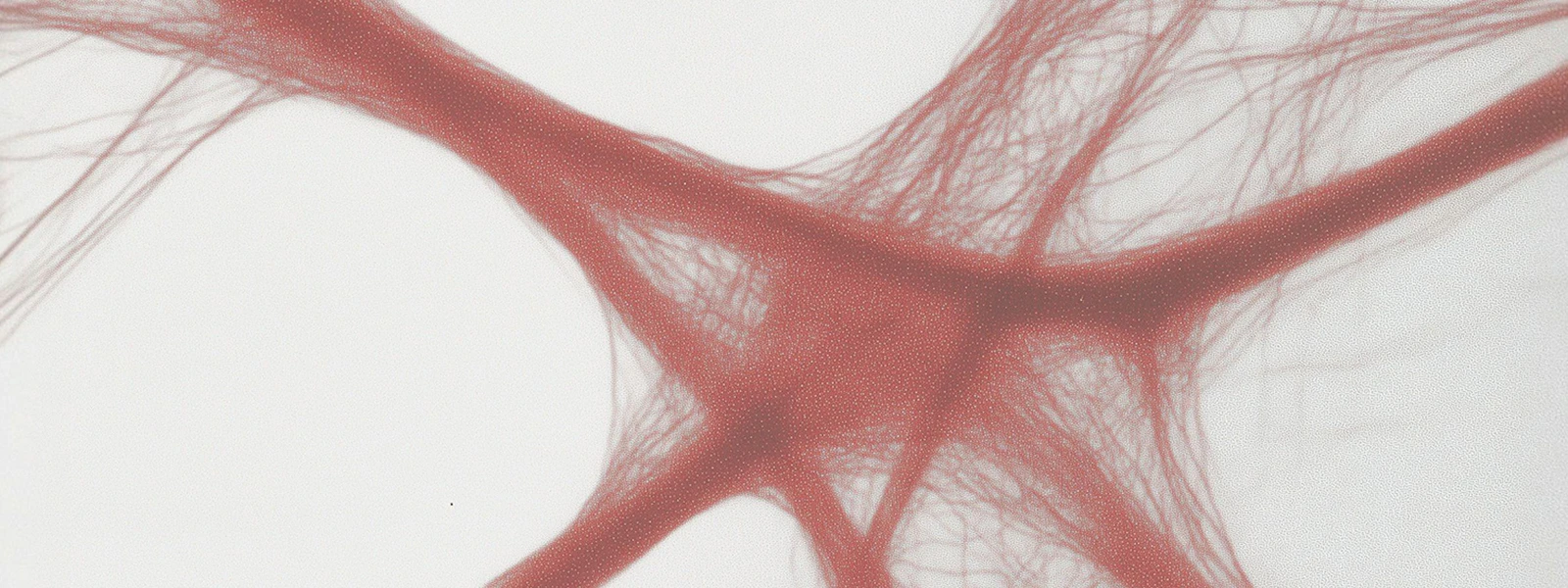 Case Study Image